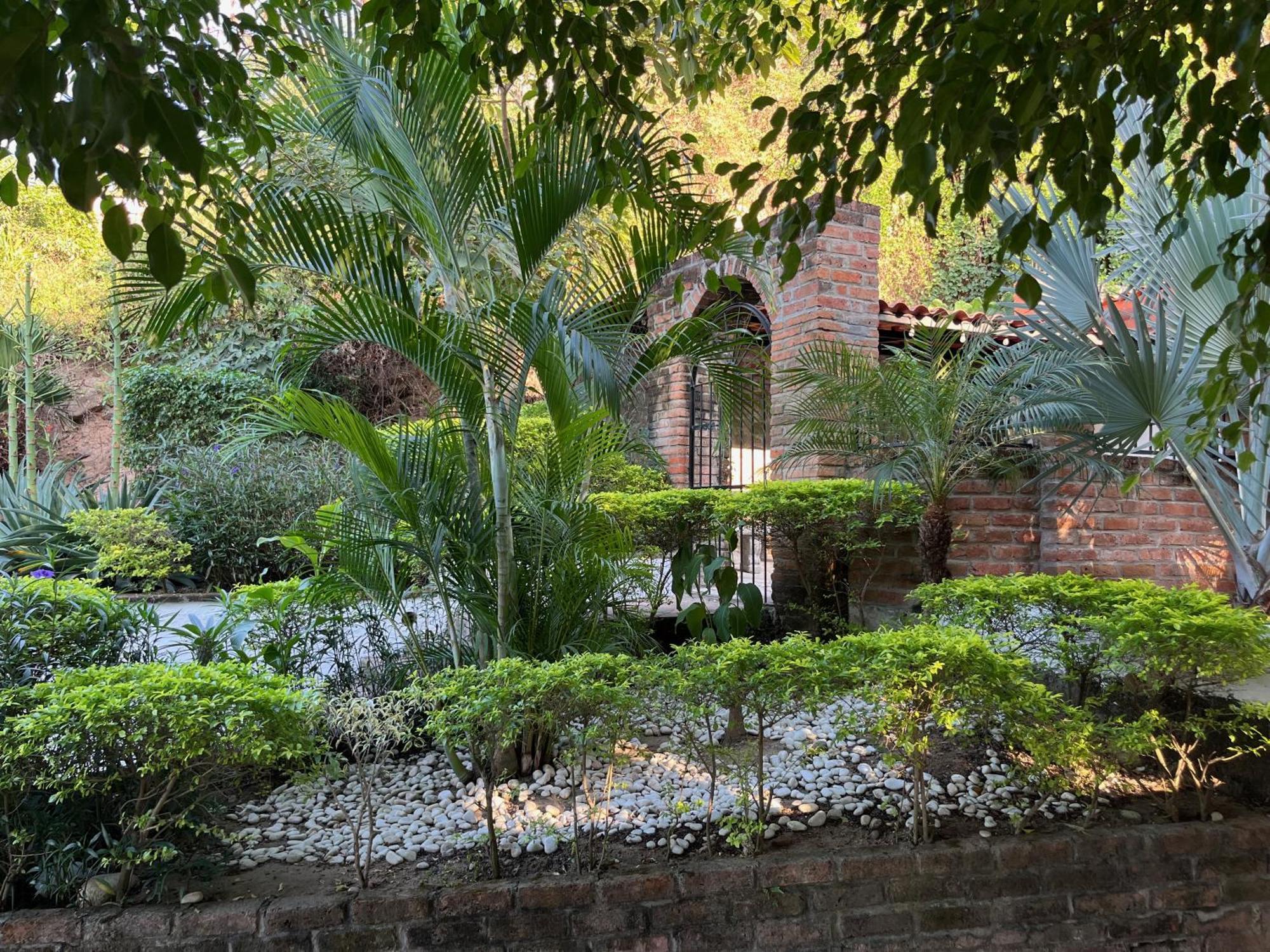 Villa Palmier -Quiet Cosy Air Conditioned Terrace Puerto Vallarta Buitenkant foto