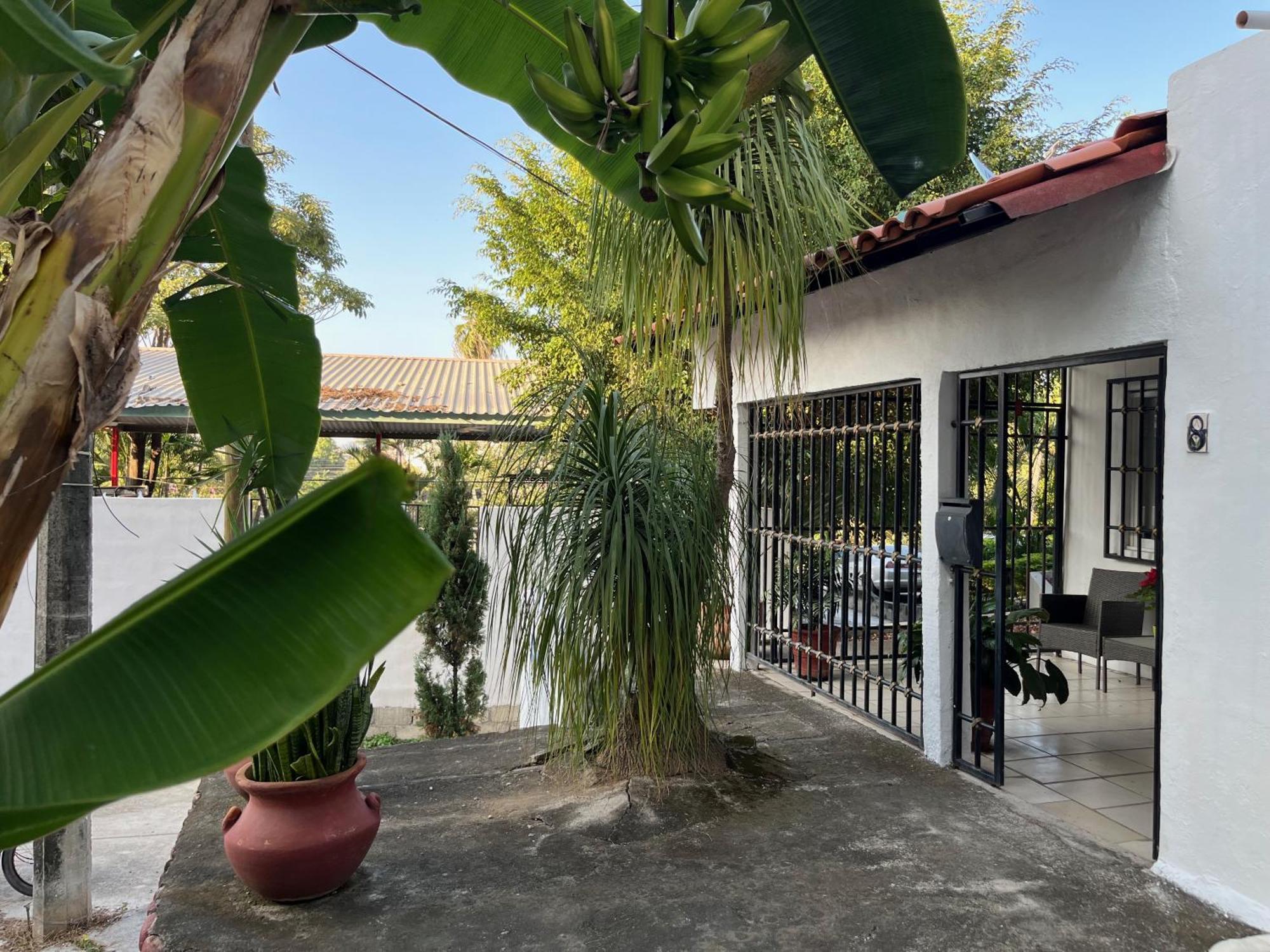 Villa Palmier -Quiet Cosy Air Conditioned Terrace Puerto Vallarta Buitenkant foto